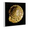 Stupell Industries Gold Spiral Shell Wall Plaque Art Design by Caroline Kelly